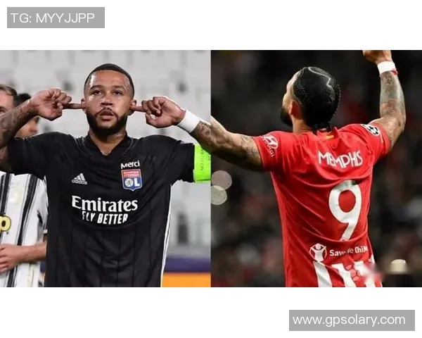 德佩因护照失踪怀疑被盗紧急申请新护照应对困境